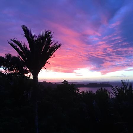 Nikau Apartments Waiheke Island Onetangi المظهر الخارجي الصورة