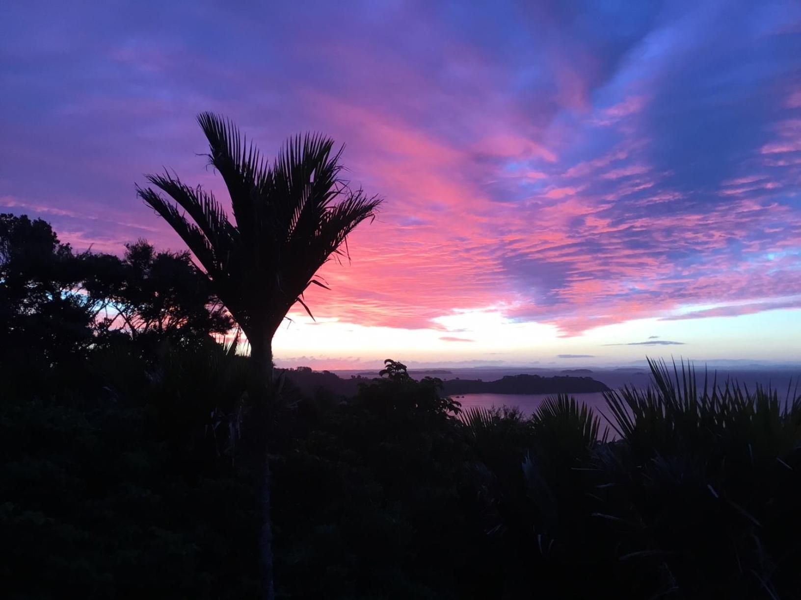 Nikau Apartments Waiheke Island Onetangi المظهر الخارجي الصورة