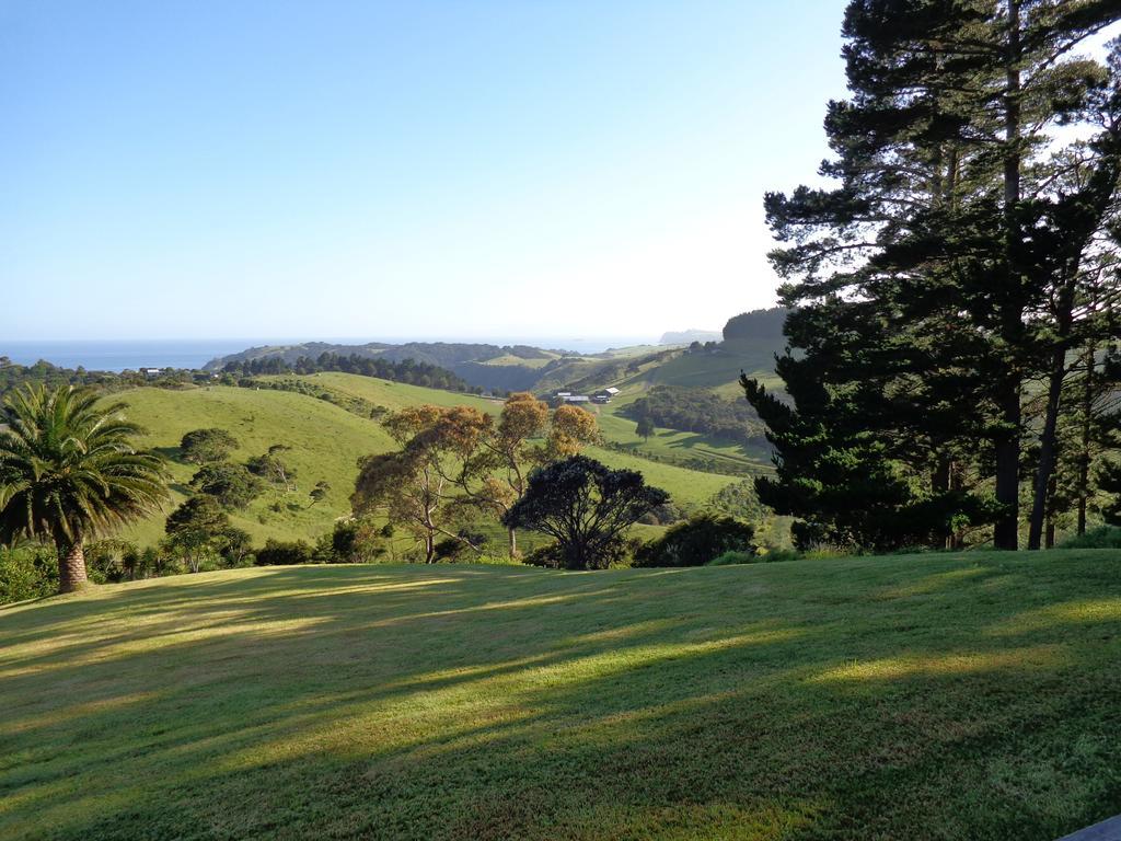 Nikau Apartments Waiheke Island Onetangi المظهر الخارجي الصورة